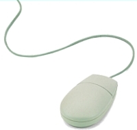 computer mouse